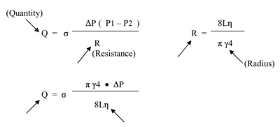 Hemodynamic Formula